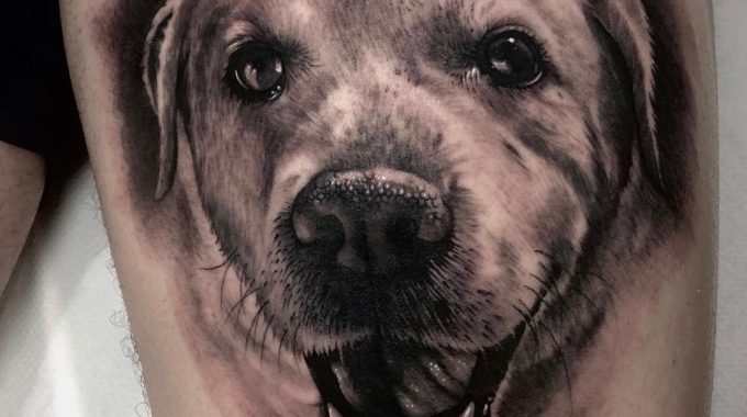 Tatuajes de Mascotas